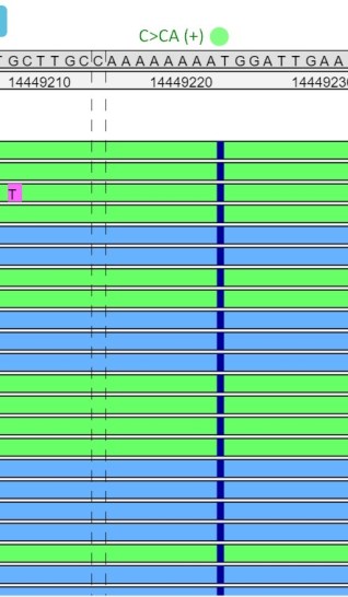 Insert SNPs (positive)